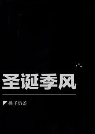 圣诞风车图片